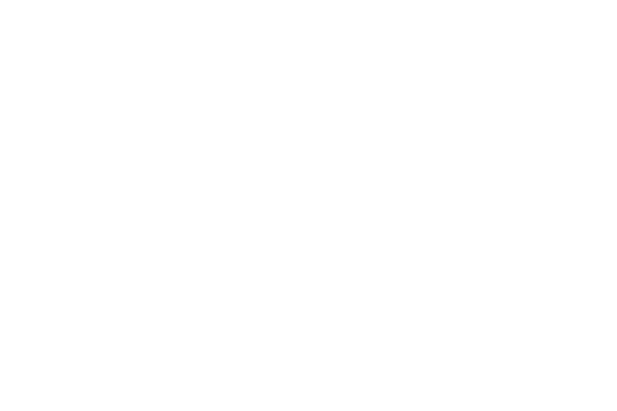 State of North Carolina - Seal