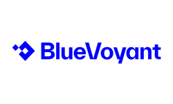 BlueVoyant