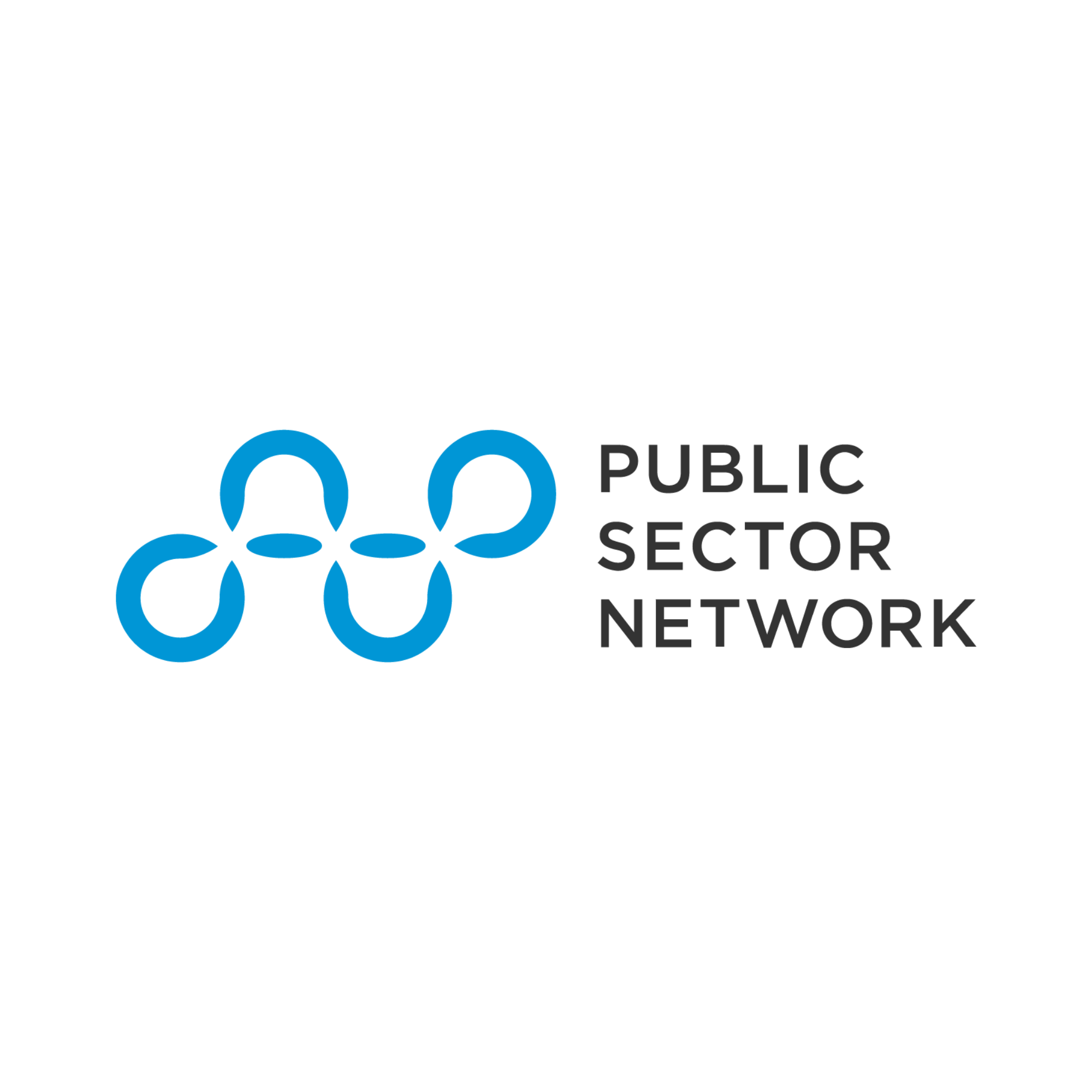 Public Sector Network Logo